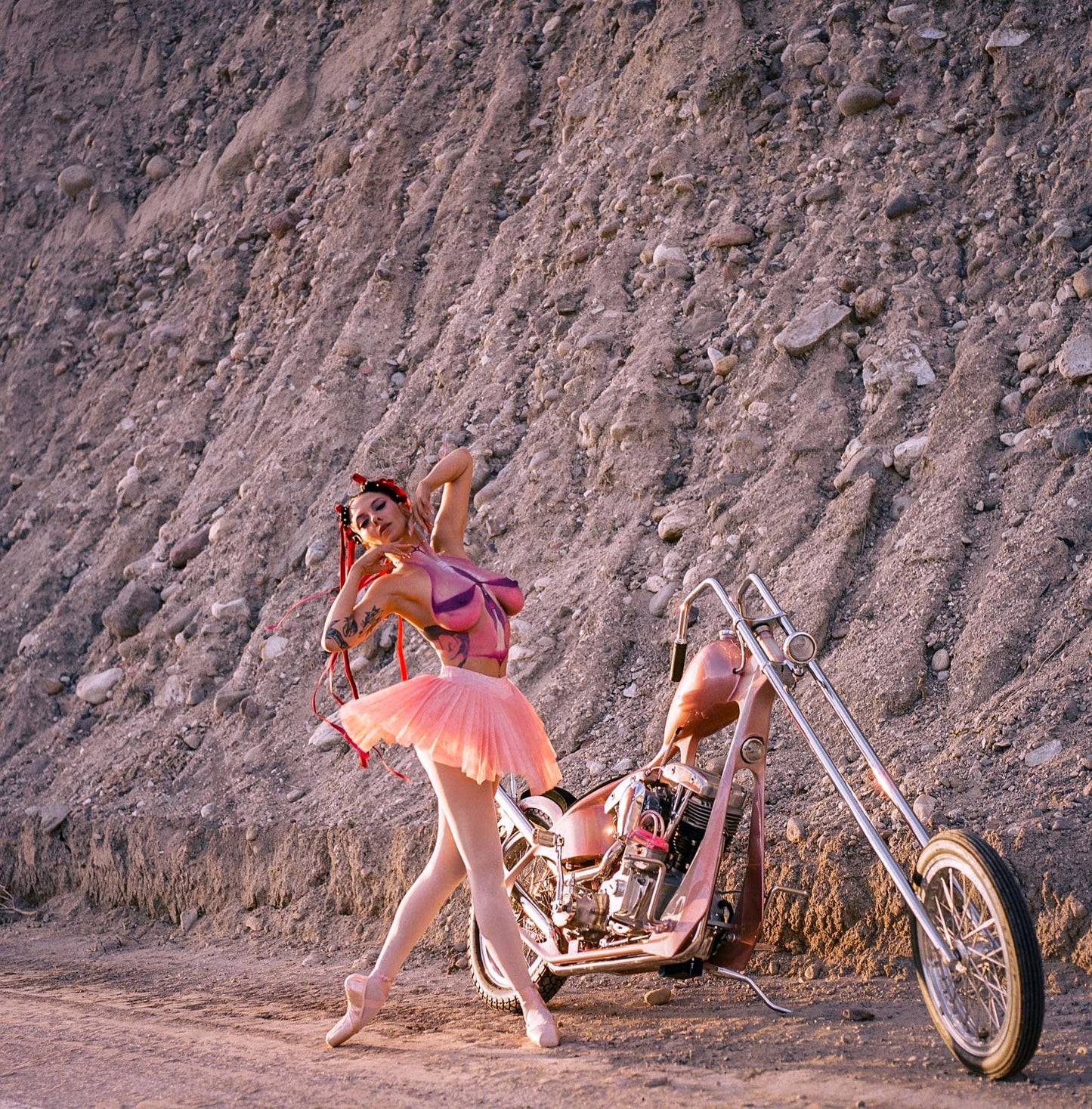 NEW! PAINTED LADY XXXX. AMBER PRINTS (120 FILM)