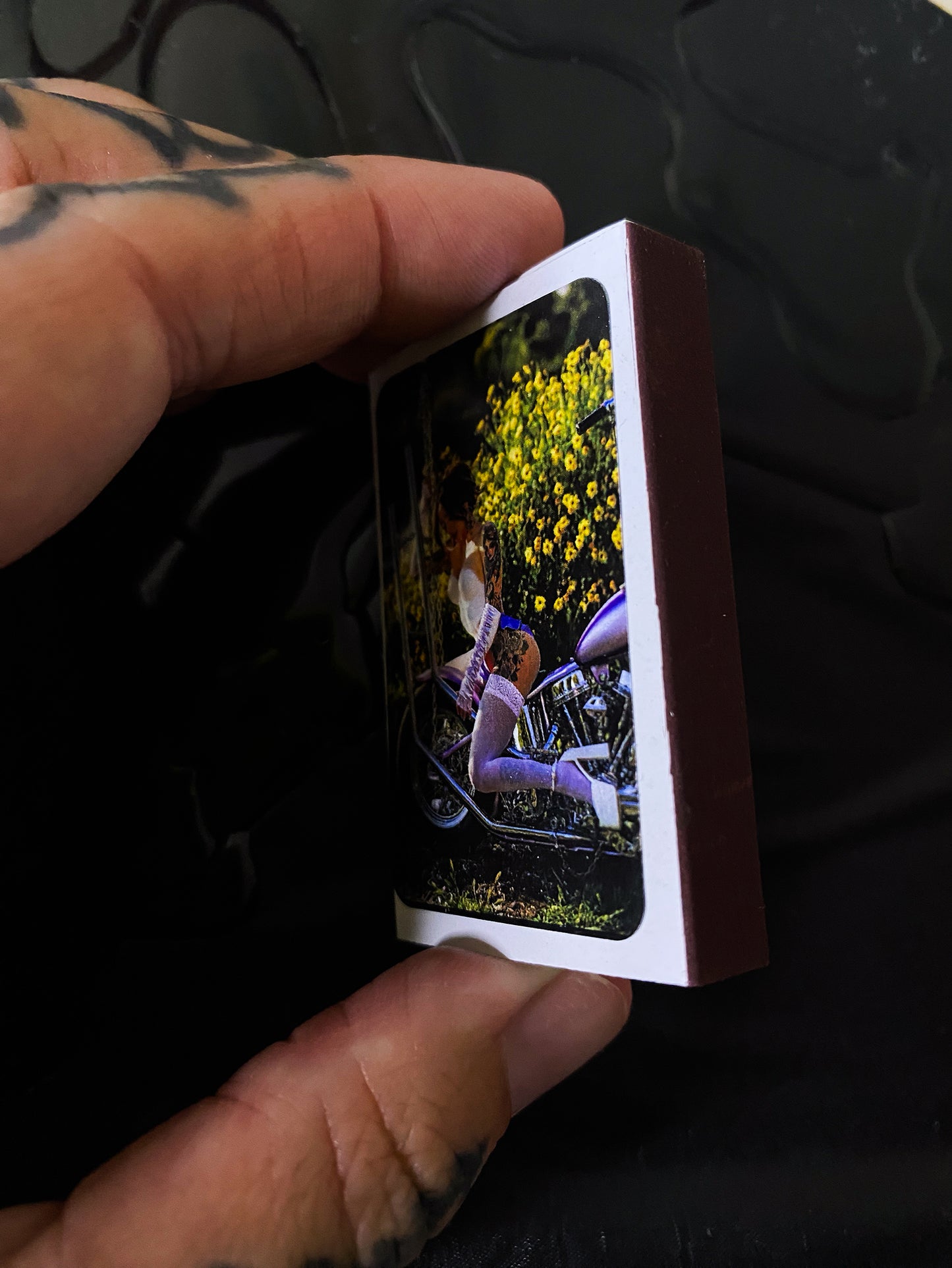 PAINTED LADY MATCHES!