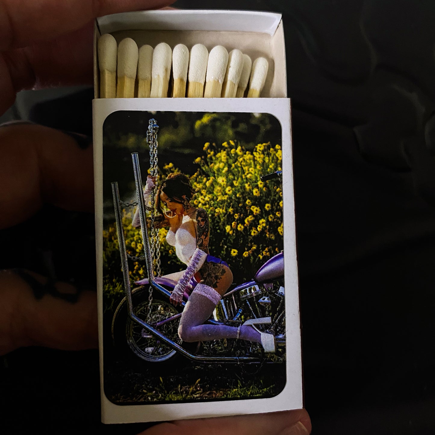 PAINTED LADY MATCHES!