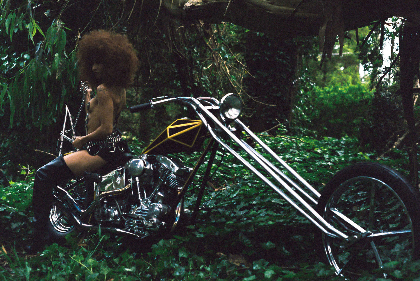 PAINTED LADY V-NAOMI 35MM FILM