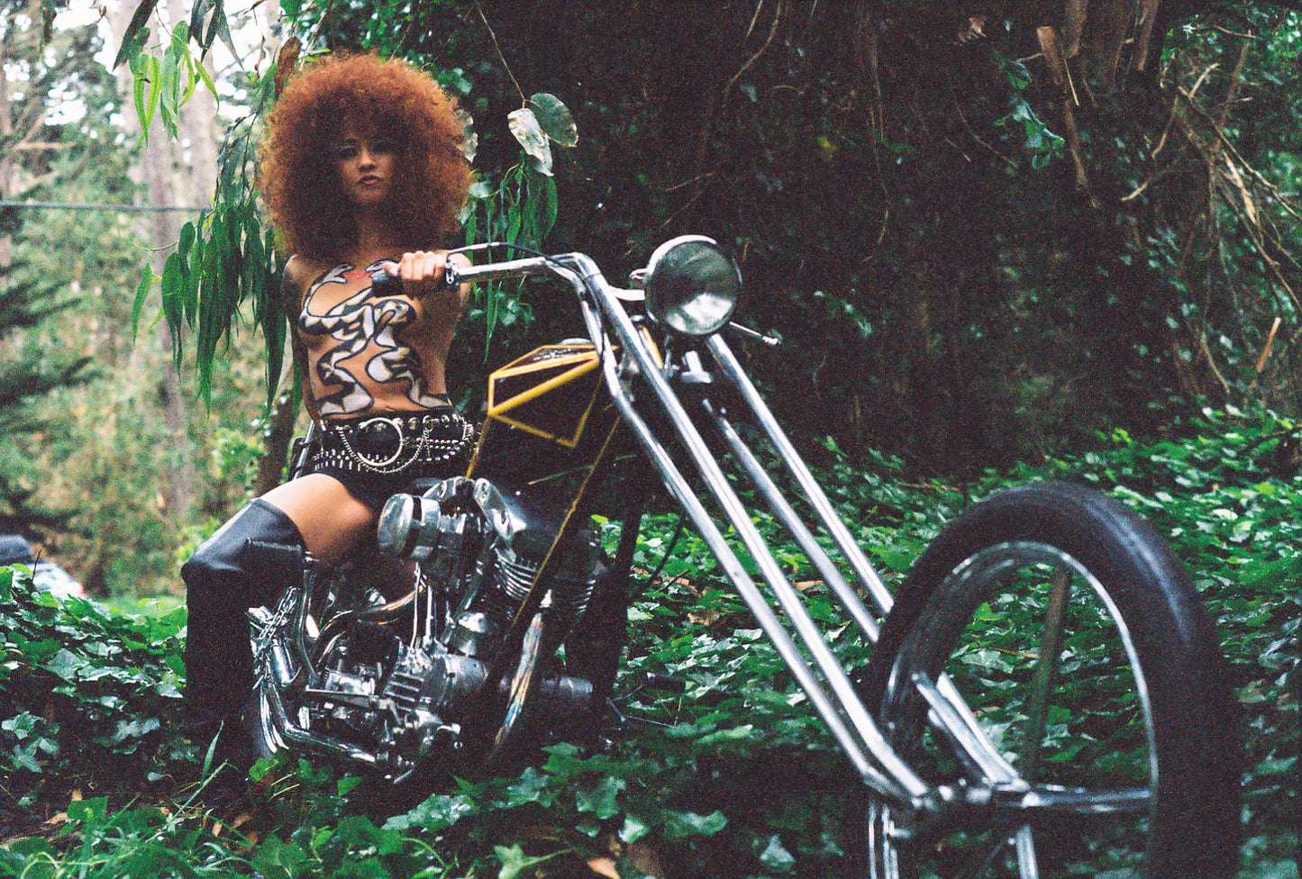 PAINTED LADY V-NAOMI 35MM FILM
