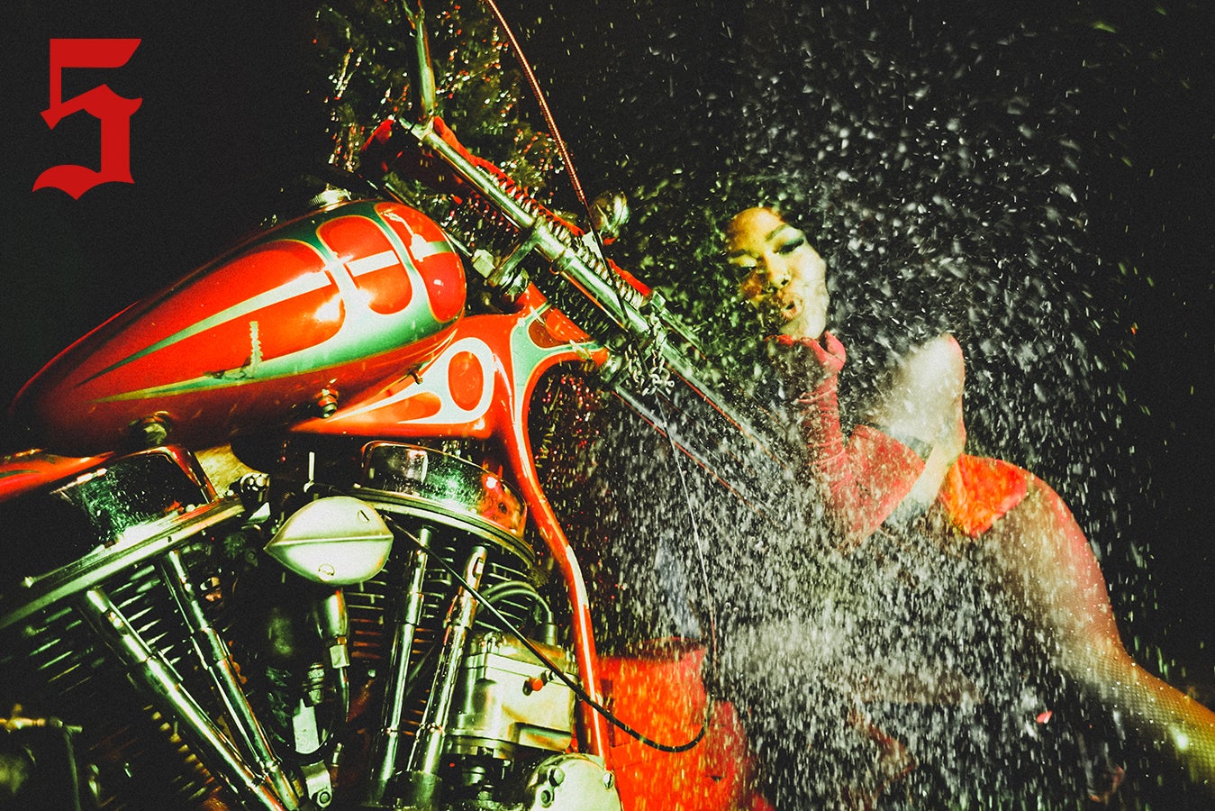 PAINTED LADY XXXII PRINTS - GROUP TWO