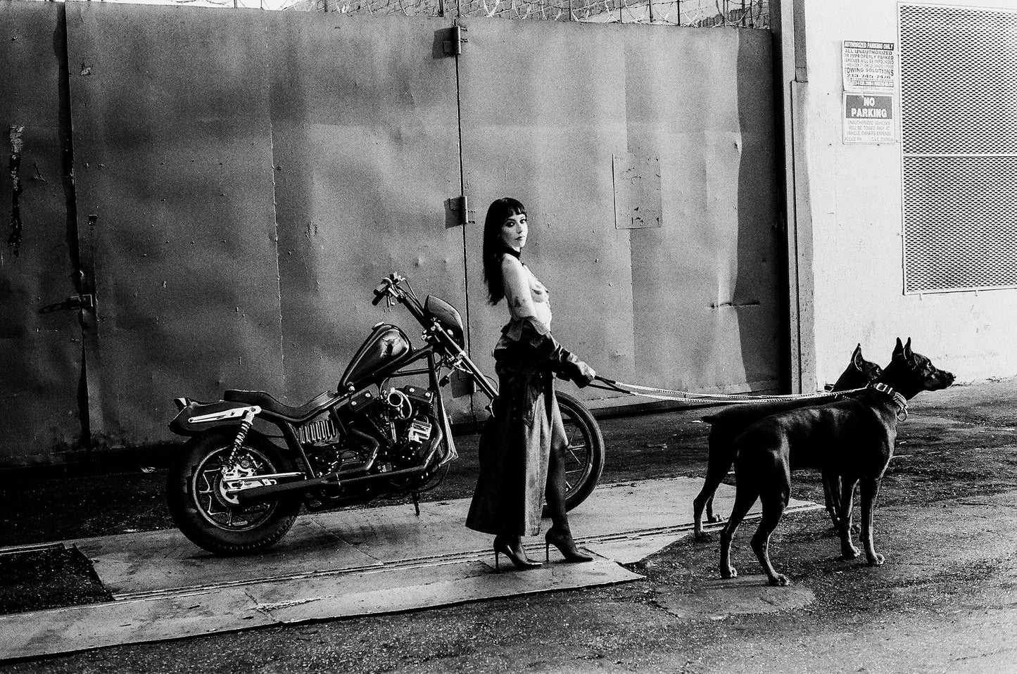 Painted Lady XXXIII. Jordan PRINTS -PART 1 (B&W film)