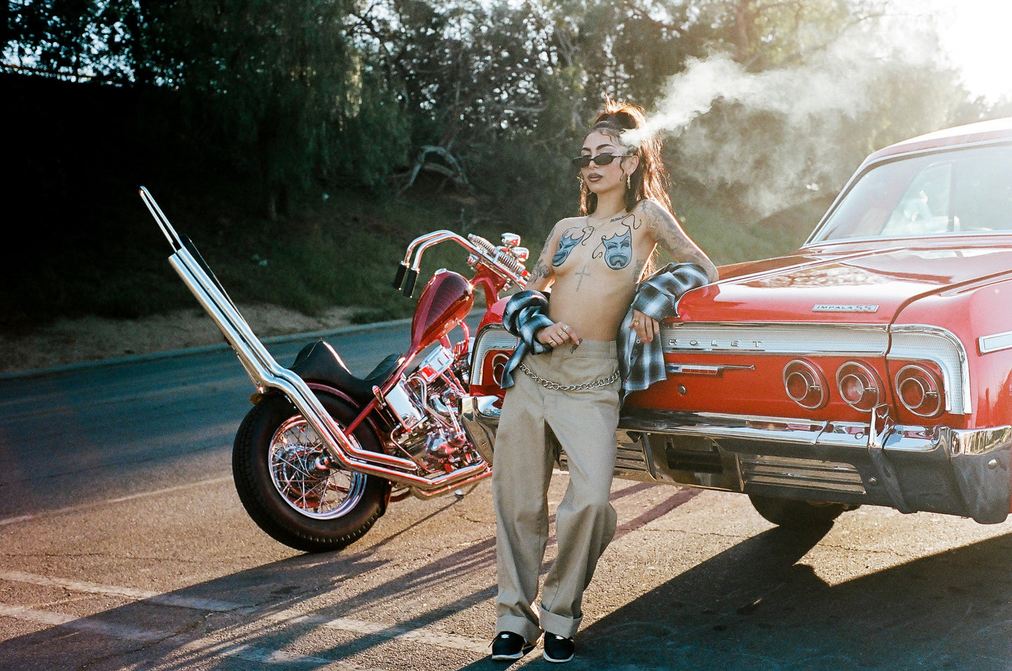 PAINTED LADY XXXVI. 35 FILM PRINTS