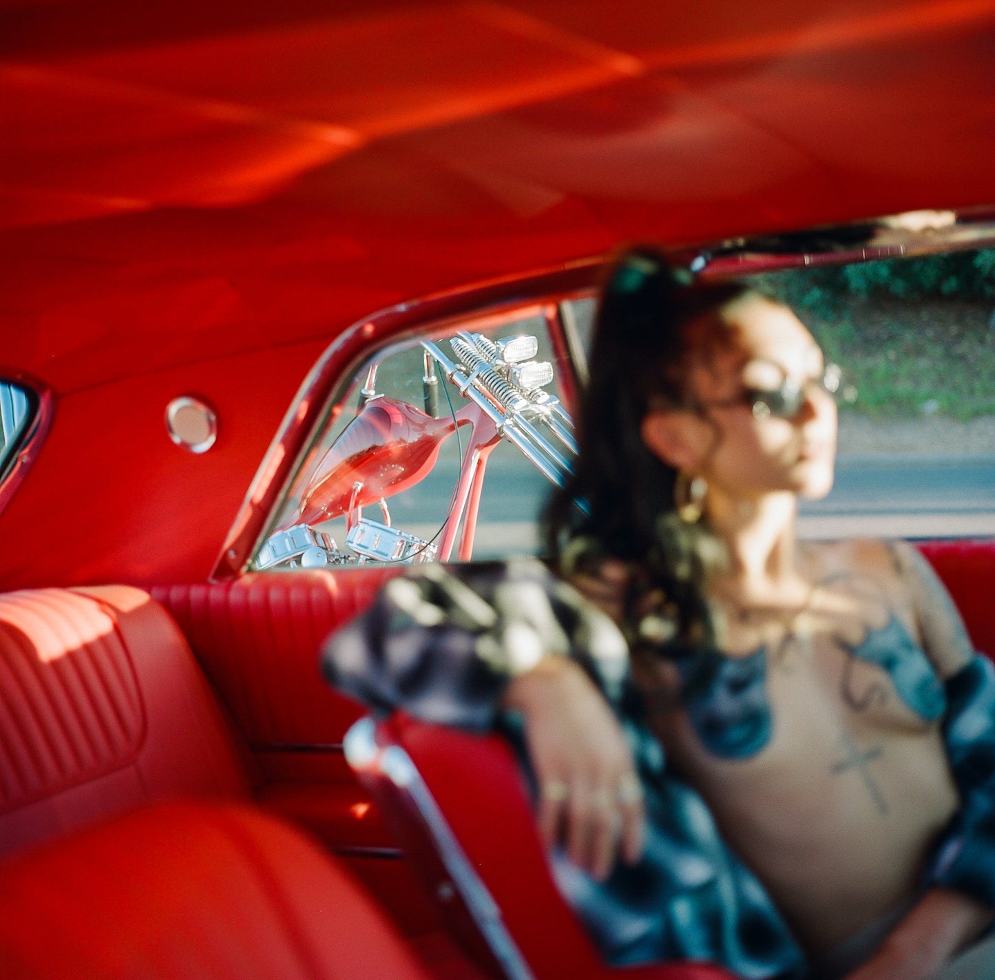 PAINTED LADY XXXVI. MEDIUM FORMAT FILM PRINTS