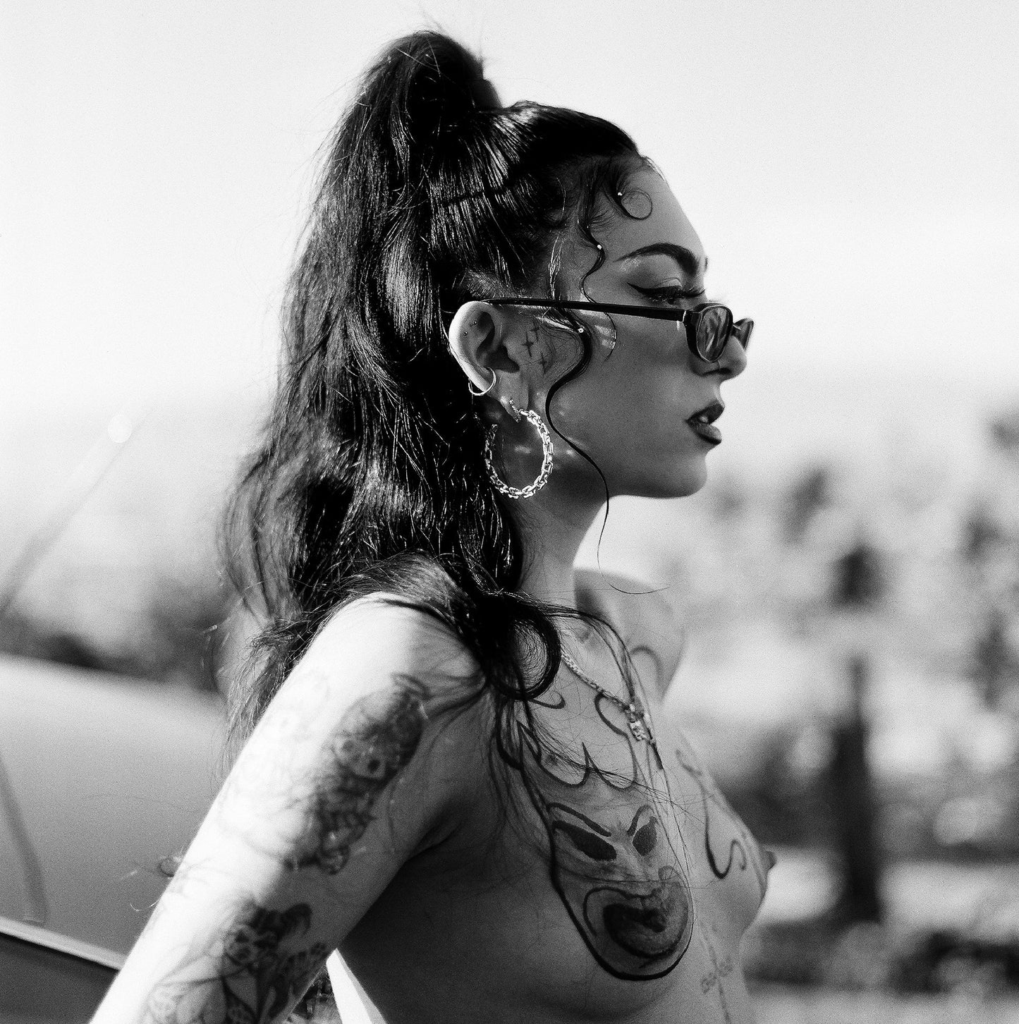 PAINTED LADY XXXVI. MEDIUM FORMAT FILM PRINTS