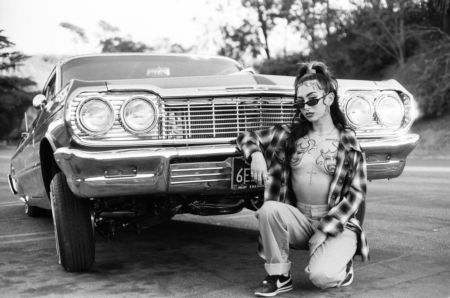 PAINTED LADY XXXVI. 35 FILM PRINTS