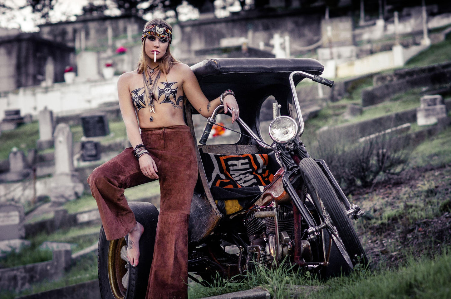 PAINTED LADY IV- AMANDA ROSE