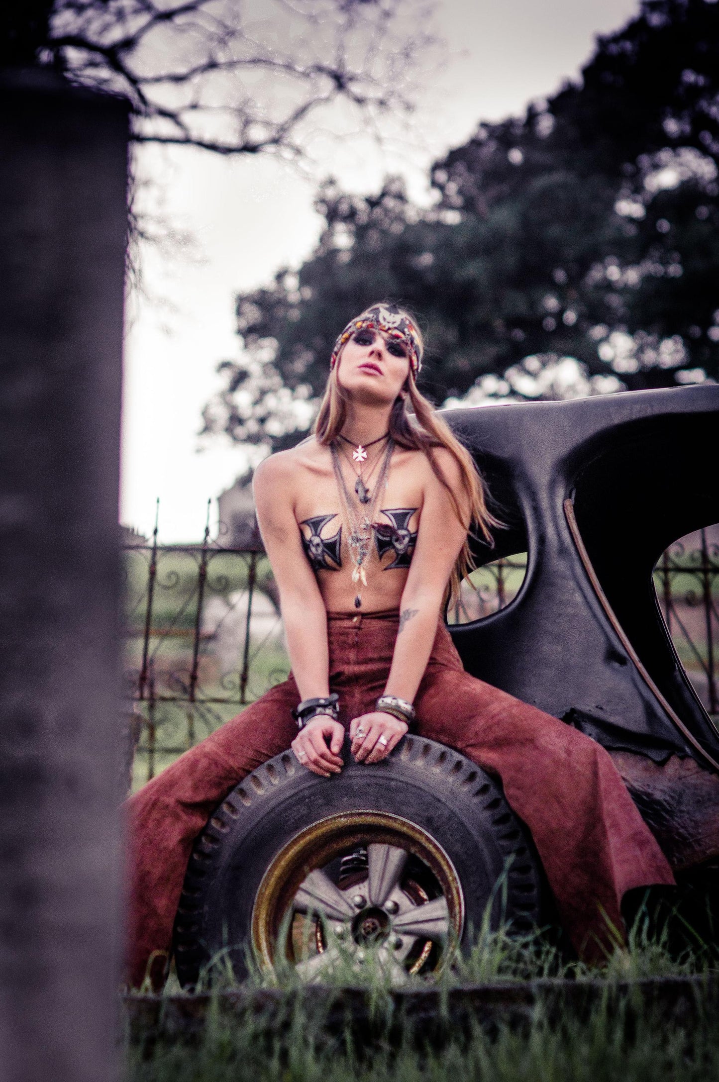 PAINTED LADY IV- AMANDA ROSE