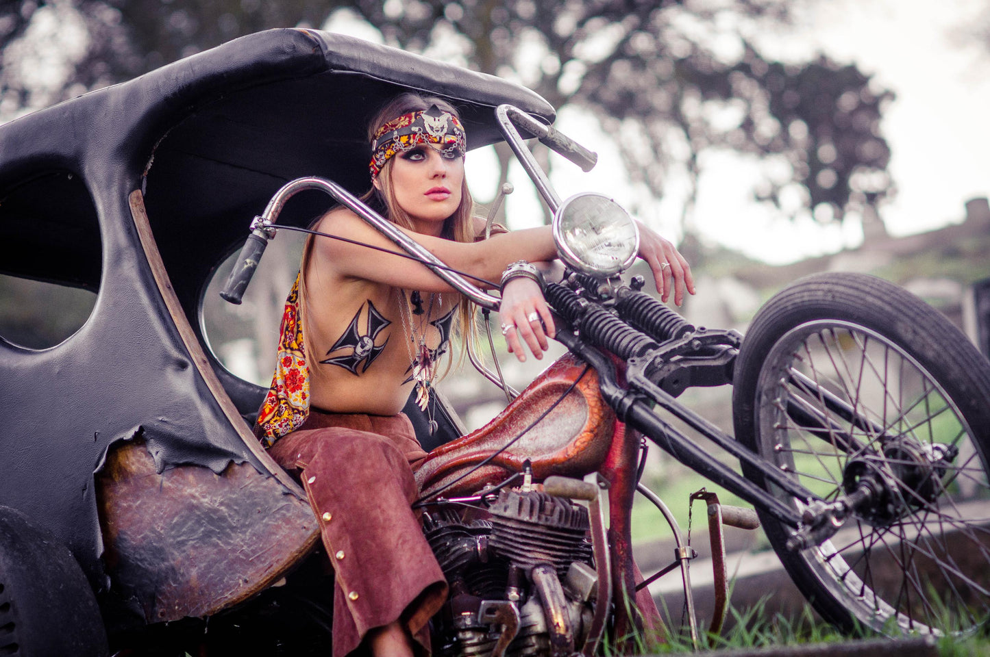 PAINTED LADY IV- AMANDA ROSE
