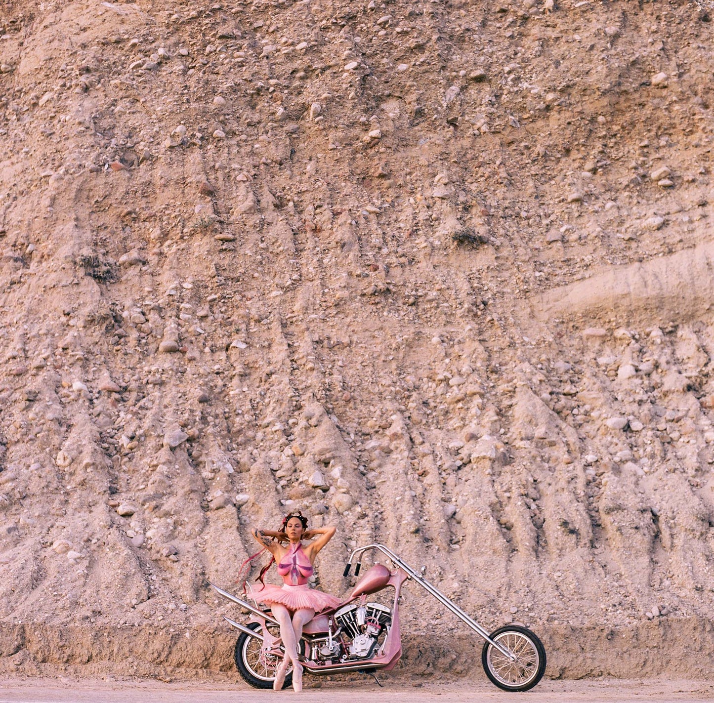 NEW! PAINTED LADY XXXX. AMBER PRINTS (120 FILM)